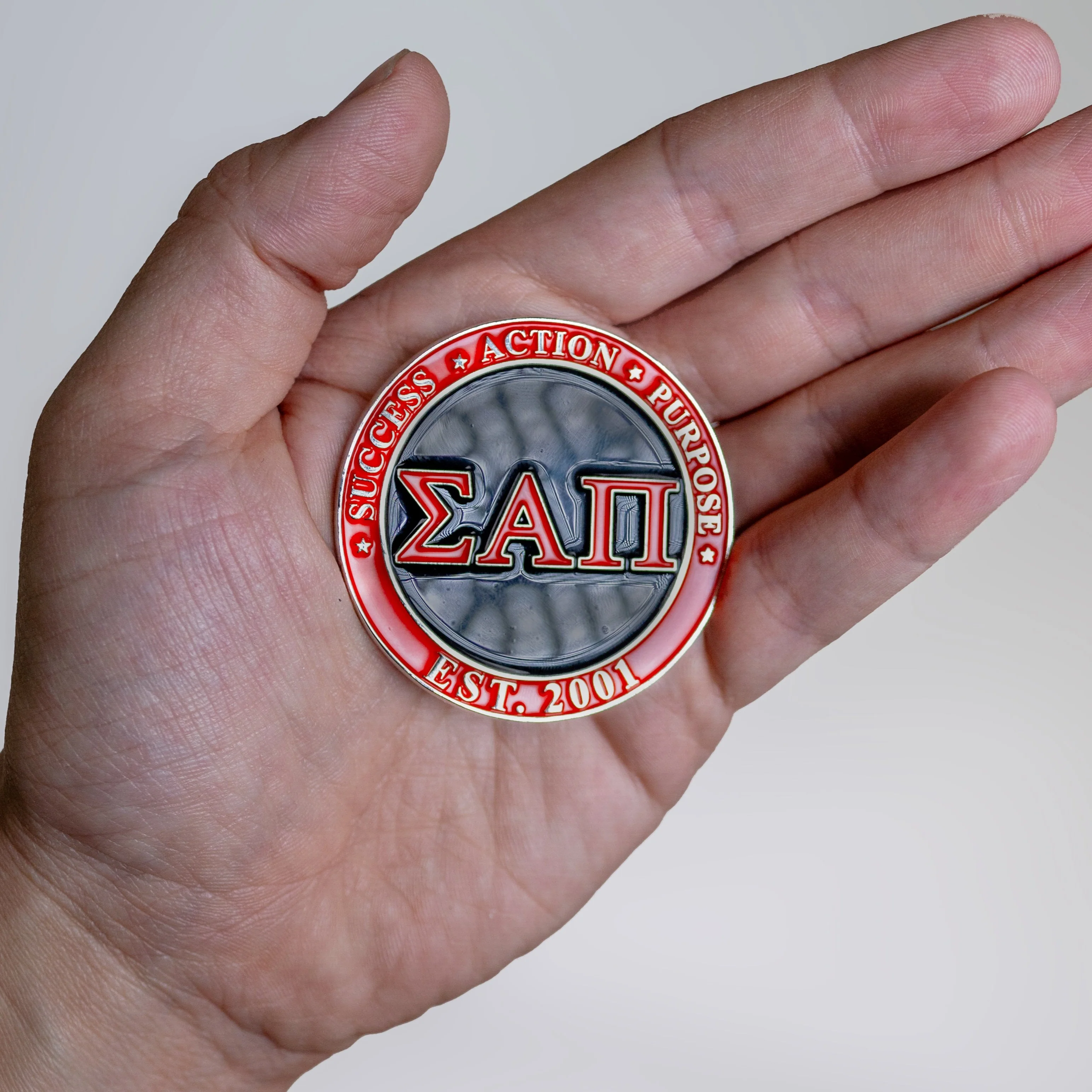 NSLS Challenge Coin and Case - Image 4